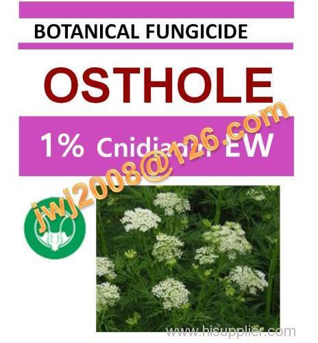 natural biopesticide 1% Cnidiadin EW organic fungicide