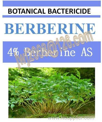 organic pesticide 4% Berberine AS botanic bactericide nature