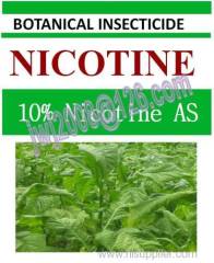 organic pesticide 10% Nicotine AS botanic insecticide and nature