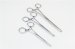 Surgical Medical Allis Forcep