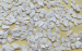 dehydrated horseradish granules 5-10mm