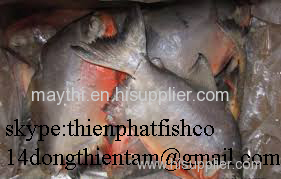 red pomfret with good price