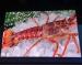 3G P6 LED Display AC 110V / 220V LED Wall Display Screen For Restaurant