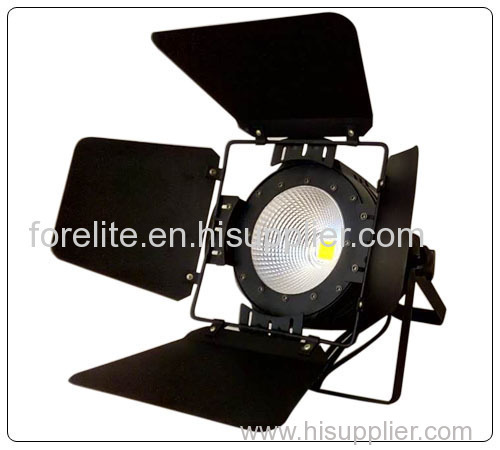 100W Indoor LED Par Light