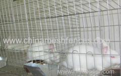 Galvanized Rabbit Cage for commercial use