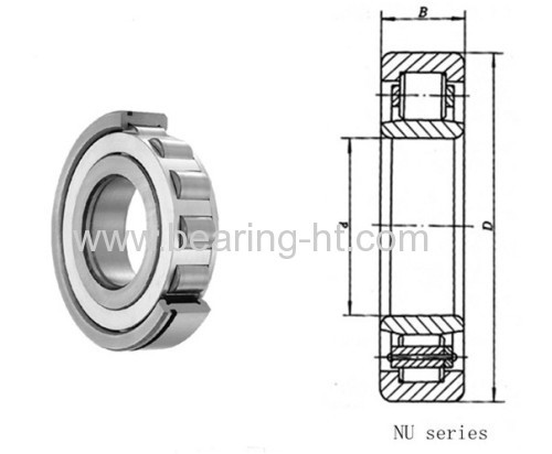 Slew Cylindrical Roller Bearing NU 1005