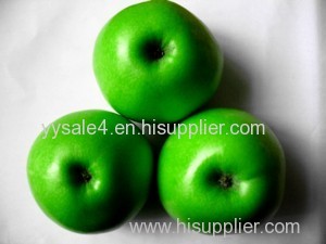 Top Natural Apple Extract/Apple Polyphenols/Apple Cider Vinegar Powder
