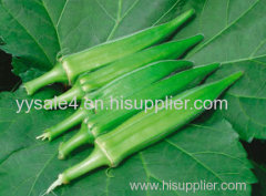 100% Pure Nature Okra Extract 10:1 Powder Abelmoschus Manihot Extract/Abelmoschus Esculentus Extract