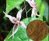 Low price supply Natural Epimedium Breviconum P.E. Icariin 10%20%98%Horny Goat Weed Extract