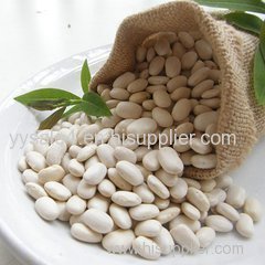 High Quality Pure Plant Extract White Kidney Bean Extract