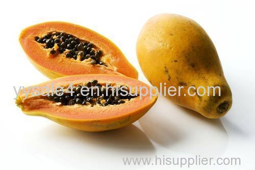 Chinese Quince Extract 10/1 Papaya Extract/Chaenomeles Speciosa Extract/ Papaya Leaf Powder