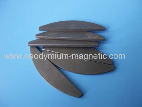 Permanent neodymium mgnet irregular magnet