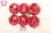 High Quality Plastic Shiny Ball Ornament