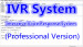 8- Channel/ 4-port /2-way Auto Dialer System/IVR system/Call Center/Voice Navigation (Professional Edition)