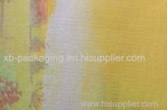 Polypropylene composite woven bag