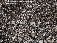 CASHEW NUT SHELL RESIDUE DDP +84938595090