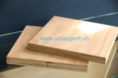 container plywood flooring/ marine plywood/film faced plywood
