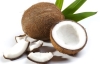 Factory Supply Natural Fruit Extract Coconut Powder/ Coconut Milk Powder/ Cocos Nucifera L.