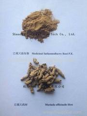 Top Quality Morinda officinalis How Medicinal Indianmulberry Root P.E. Extract