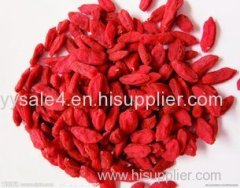 Lycium chinense polysaccharide 40% Wolfberry Extract/Goji berry extract/Wolfberry Fruit Extract/ Lycium Barbarum Extract