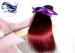 Ombre Color Hair Extensions