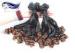 Aunty Funmi Human Hair Ombre Spring Curly 8 " - 22 " Double End