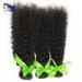 Kinky Curly Virgin Indian Hair Extensions Micro Weft 8A Grade Hair