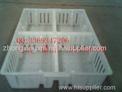 Plastic chick transport crate