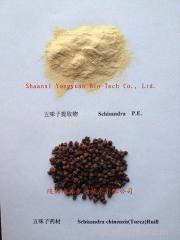 100% Natural Cheap Schisandra Extract Schisandra chinensis Extract/Fructus Schisandrae chinensis extract/ Schisandrins