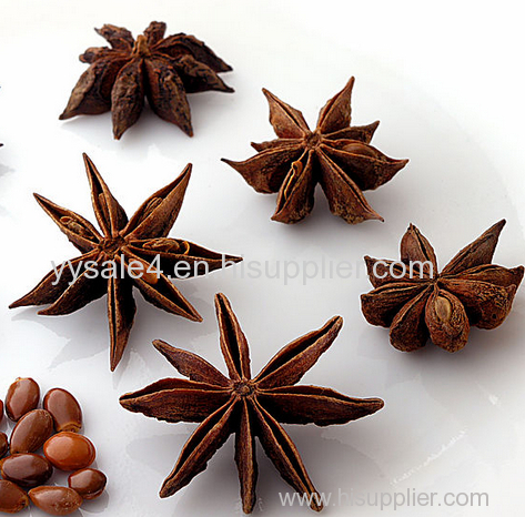 Functional Food Ingredients Illicium verum Hook. f. 10:1 Fructus anisi stellati Extract/ Star Anise Extract