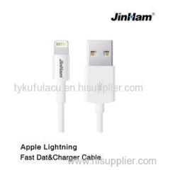 Apple Lightning Data Charger Cable