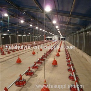 Poultry Farm Product Product Product