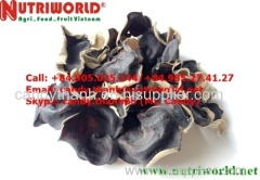 black fungus mushroom or cloud ear mushroom