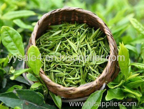 Natural ingredients High quality Pure Green tea extract EGCG Epigallocatechin gallate 98%