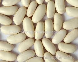 pure and natural white and black kidney beans
