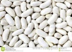 pure and natural white and black kidney beans