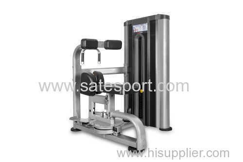 ROTARY TORSO gym equipment