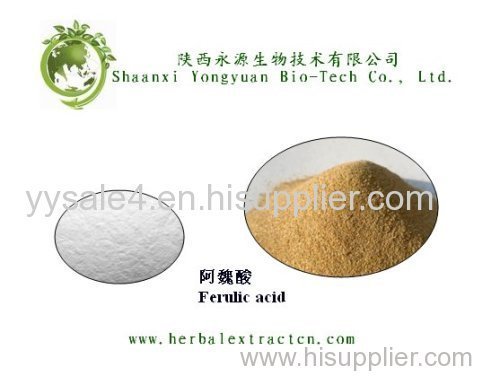 Bulk Supplying Natural Rice Bran Extract Ferulic 98%HPLC