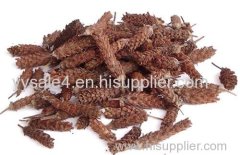 High Quality Organic plant MedicinePrunella Vulgaris Extract/ Selfheal Spike Extract 4:1 10:1