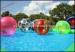 Multicolor Walk On Water Inflatable Human Hamster Ball For Water Park