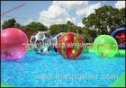 Multicolor Walk On Water Inflatable Human Hamster Ball For Water Park