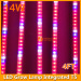 14W LED Grow Lamp Integrated T5 4FT