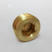 brass counter sunk head plug