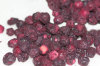 freeze dried blueberry whole wild type