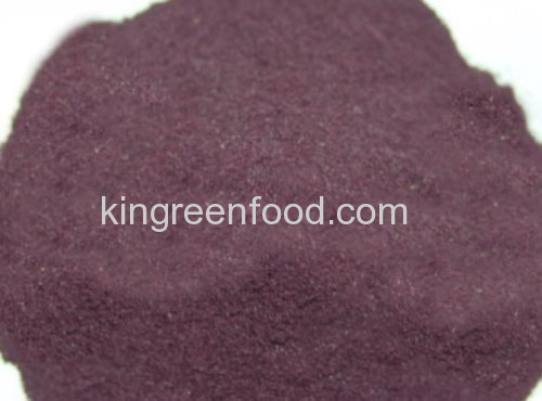 freeze dried blackcurrant powder