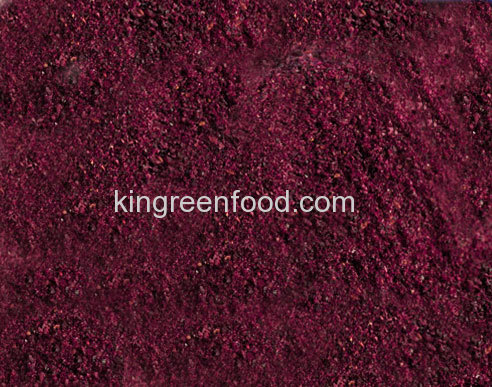 freeze dried blackberry powder