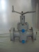 API 6A gate valve