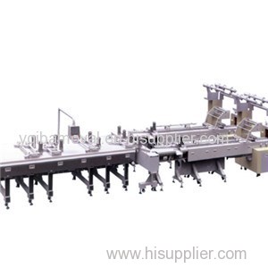 Automatic Feed Packing Line