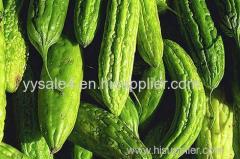 Manufactuer supply Bitter Melon Extract/ Biharatter Melon P.E