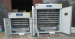 chicken egg incubator 1000 eggs incubator